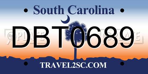 DBT0689 South Carolina License Plate