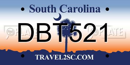 DBT521 South Carolina License Plate