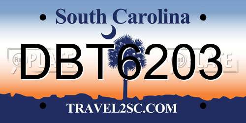 DBT6203 South Carolina License Plate