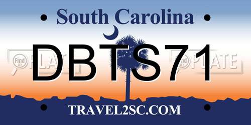 DBTS71 South Carolina License Plate