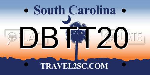 DBTT20 South Carolina License Plate