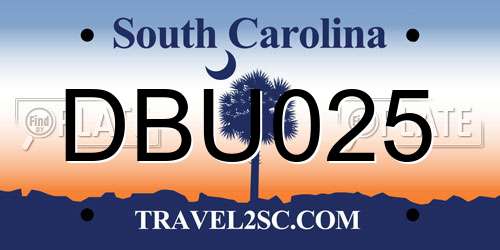 DBU025 South Carolina License Plate