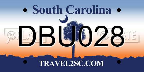 DBU028 South Carolina License Plate