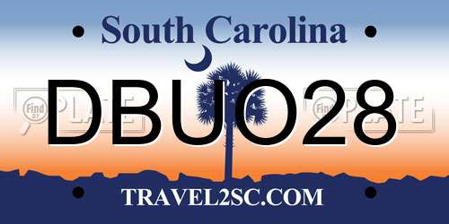 DBUO28 South Carolina License Plate