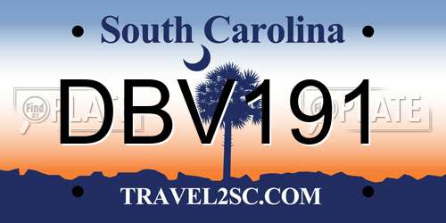 DBV191 South Carolina License Plate