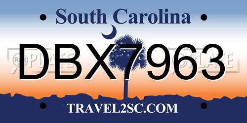 DBX7963 South Carolina License Plate