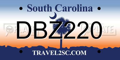 DBZ220 South Carolina License Plate
