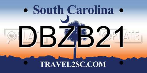 DBZB21 South Carolina License Plate