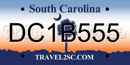DC1B555 South Carolina License Plate