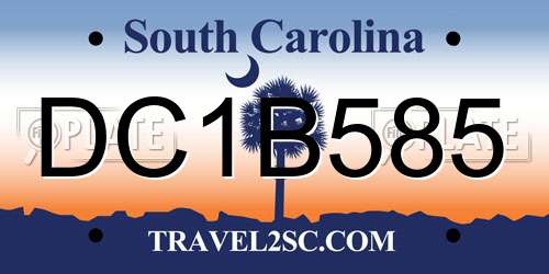 DC1B585 South Carolina License Plate