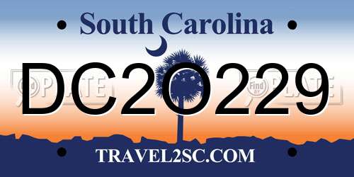 DC2O229 South Carolina License Plate