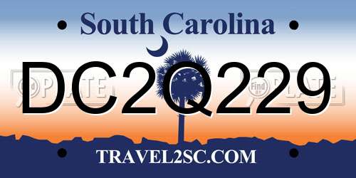 DC2Q229 South Carolina License Plate