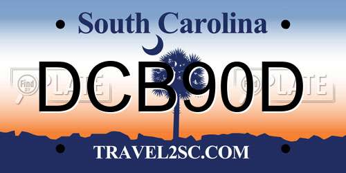 DCB90D South Carolina License Plate