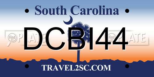 DCBI44 South Carolina License Plate