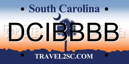 DCIBBBB South Carolina License Plate