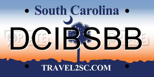 DCIBSBB South Carolina License Plate