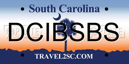 DCIBSBS South Carolina License Plate
