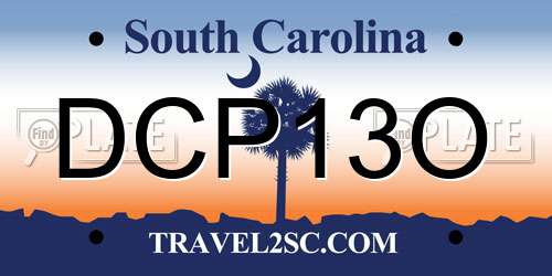 DCP13O South Carolina License Plate