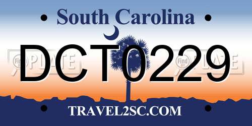 DCT0229 South Carolina License Plate