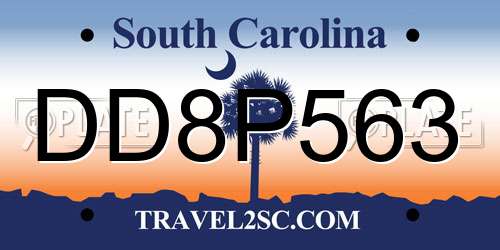 DD8P563 South Carolina License Plate
