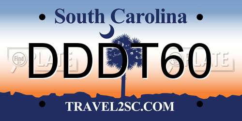 DDDT60 South Carolina License Plate