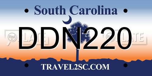 DDN220 South Carolina License Plate