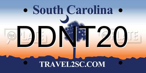 DDNT20 South Carolina License Plate