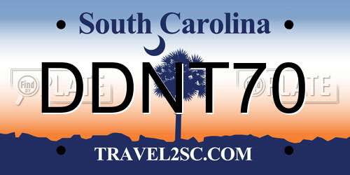 DDNT70 South Carolina License Plate