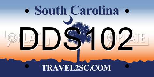 DDS102 South Carolina License Plate