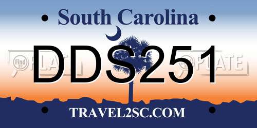 DDS251 South Carolina License Plate