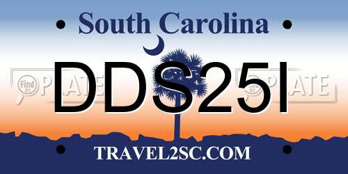 DDS25I South Carolina License Plate