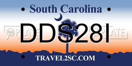 DDS28I South Carolina License Plate