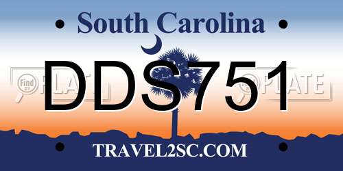DDS751 South Carolina License Plate