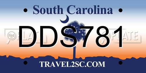 DDS781 South Carolina License Plate