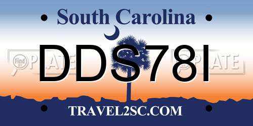DDS78I South Carolina License Plate
