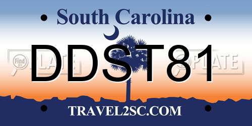 DDST81 South Carolina License Plate