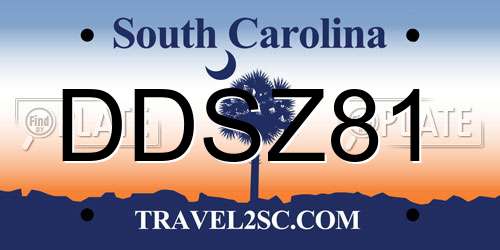 DDSZ81 South Carolina License Plate