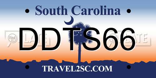 DDTS66 South Carolina License Plate