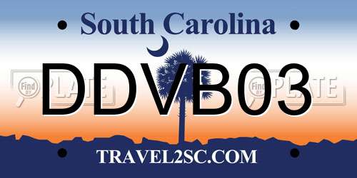 DDVB03 South Carolina License Plate
