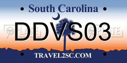DDVS03 South Carolina License Plate