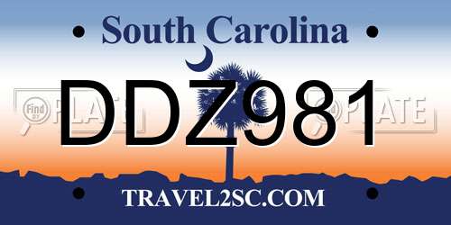 DDZ981 South Carolina License Plate