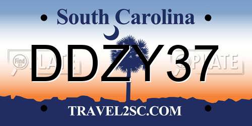 DDZY37 South Carolina License Plate