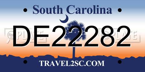 DE22282 South Carolina License Plate