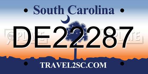 DE22287 South Carolina License Plate