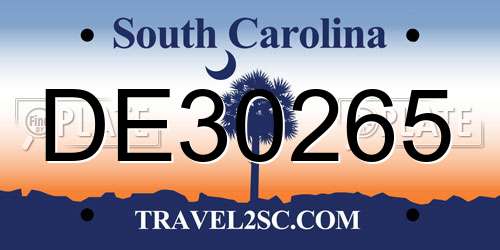 DE30265 South Carolina License Plate