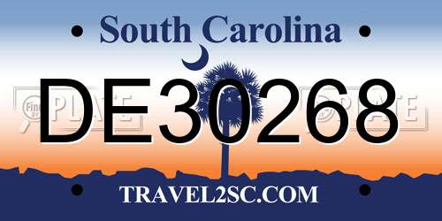 DE30268 South Carolina License Plate