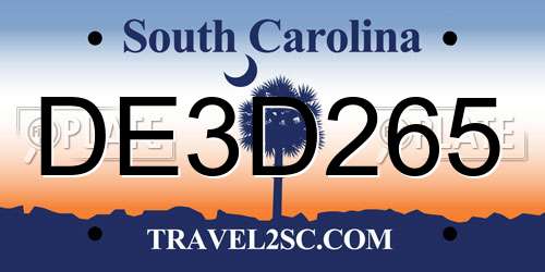 DE3D265 South Carolina License Plate