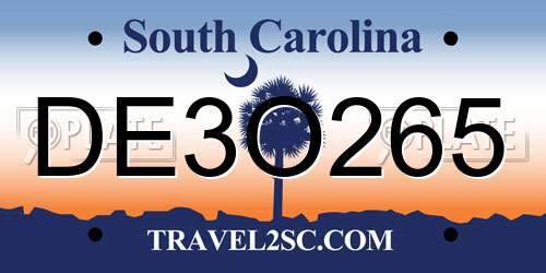 DE3O265 South Carolina License Plate