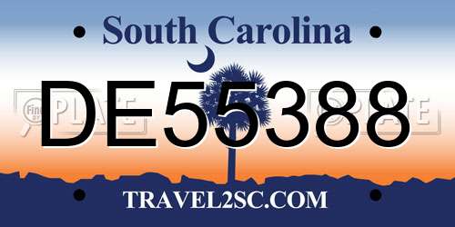 DE55388 South Carolina License Plate
