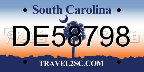 DE58798 South Carolina License Plate